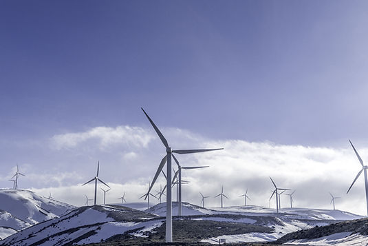 Renewable Energy Program